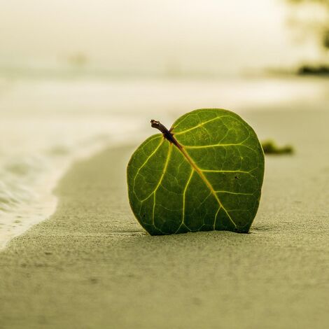 beach-394503_1920